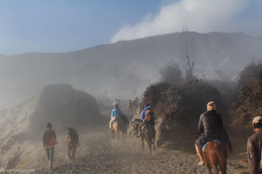 Mount Bromo Horse ride